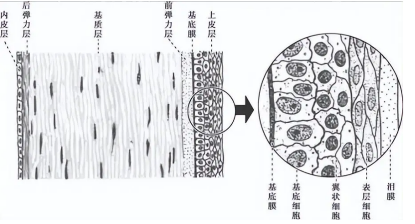 截屏2025-01-22 09.59.14.png